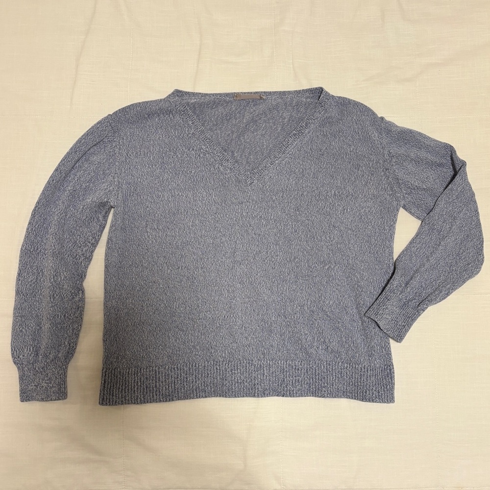 Everlane Cotton V-Neck Sweater